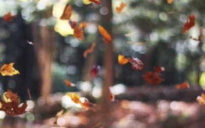 فاجعه در کمپبلز: معاون فناوری اطلاعات ادعای عجیب درباره گوشت چاپ‌شده با 3D!