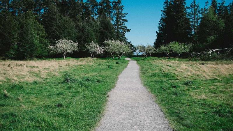 Gemini 3: پیشرفت شگرف در هوش مصنوعی گوگل