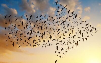 استراتژی مهاجرت مطمئن از VMware به AWS: راهنمای جامع