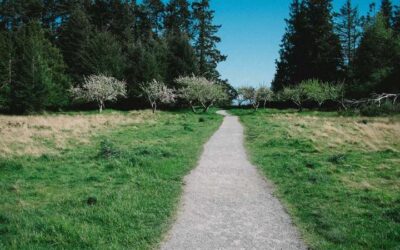 Gemini 3: پیشرفت شگرف در هوش مصنوعی گوگل