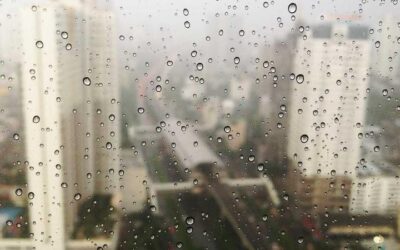 آمازون عامل افزایش خطرناک نیترات در آب آشامیدنی اورگن؟