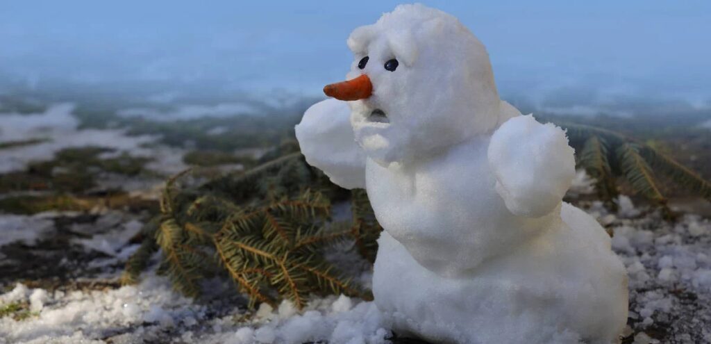 تغییرات اسنوفریک باعث بروز اختلالات گسترده در سطح جهان شد