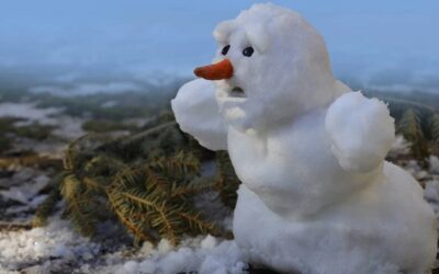 تغییرات اسنوفریک باعث بروز اختلالات گسترده در سطح جهان شد