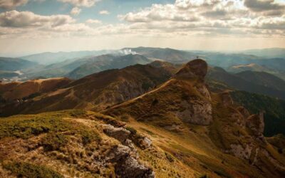 هند: پرداخت حقالزحمه تولیدکنندگان محتوا به شرکتهای هوش مصنوعی