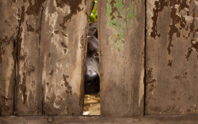 هوش مصنوعی گوگل: خطرات جدید و راه حلهای مبتنی بر هوش مصنوعی