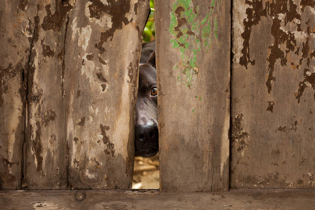 هوش مصنوعی گوگل: خطرات جدید و راه حل‌های مبتنی بر هوش مصنوعی